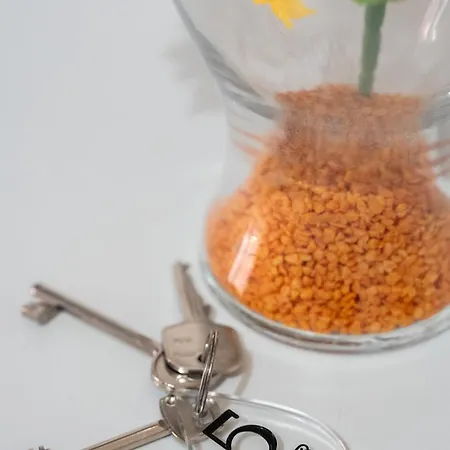 Verga 3* 卡塔尼亚