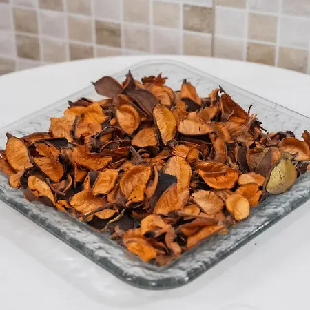 Oda ve Kahvaltı Verga Katanya